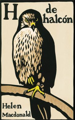 H DE HALCÓN