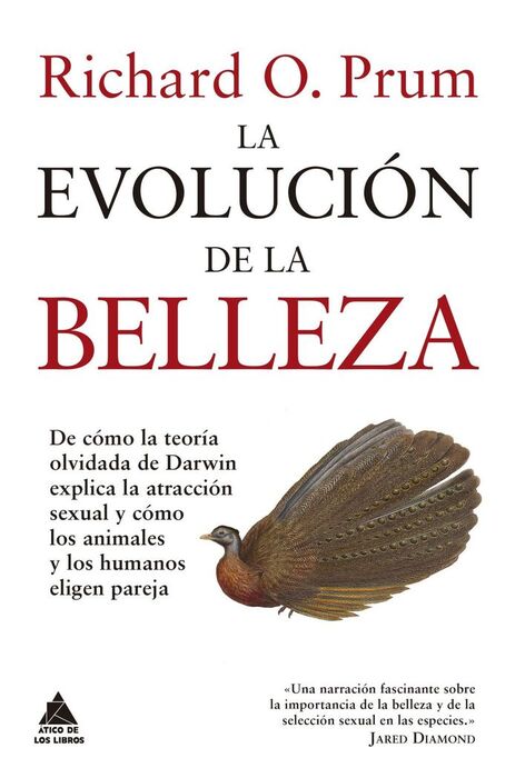 EVOLUCIÓN DE LA BELLEZA, LA