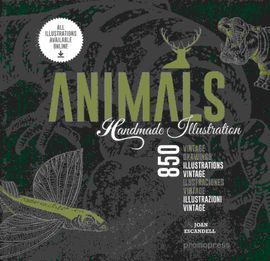 ANIMALS. HANDMADE ILLUSTRATION