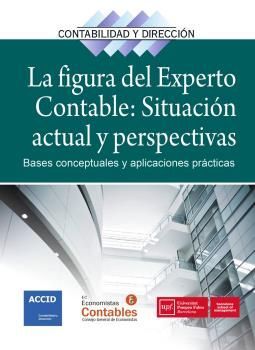 FIGURA DEL EXPERTO CONTABLE SITUACION ACTUAL Y PERSPECTIVAS