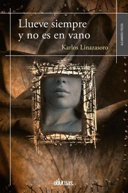 LLUEVE SIEMPRE Y NO ES EN VANO