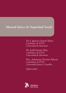 MANUAL BÁSICO DE SEGURIDAD SOCIAL