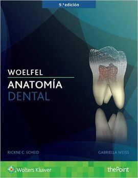 ANATOMIA DENTAL