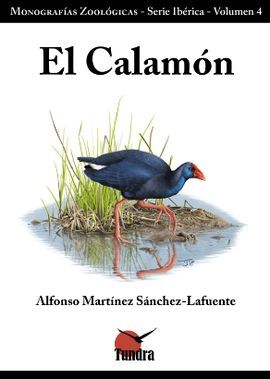 EL CALAMÓN