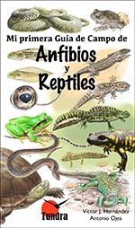 MI PRIMERA GUIA DE CAMPO DE ANFIBIOS Y REPTILES