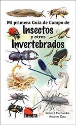 MI PRIMERA GUIA DE CAMPO DE INSECTOS Y OTROS INVERTEBRADOS