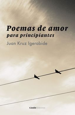 POEMAS DE AMOR PARA PRINCIPIANTES