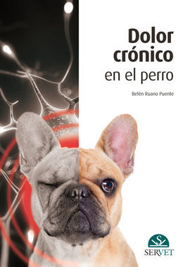 DOLOR CRÓNICO EN EL PERRO