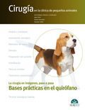 CIRUGIA DEL APARATO GENITAL FEMENINO Y MASCULINO