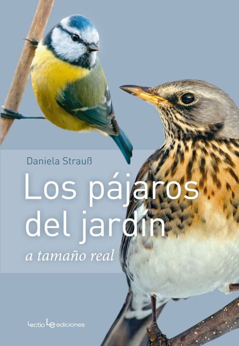 PAJAROS DEL JARDIN A TAMAÑO NATURAL