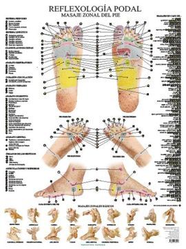 REFLEXOLOGÍA PODAL