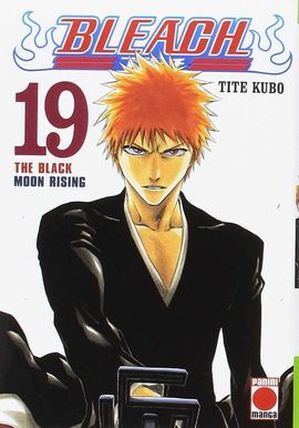 BLEACH 19