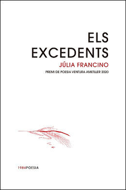 ELS EXCEDENTS