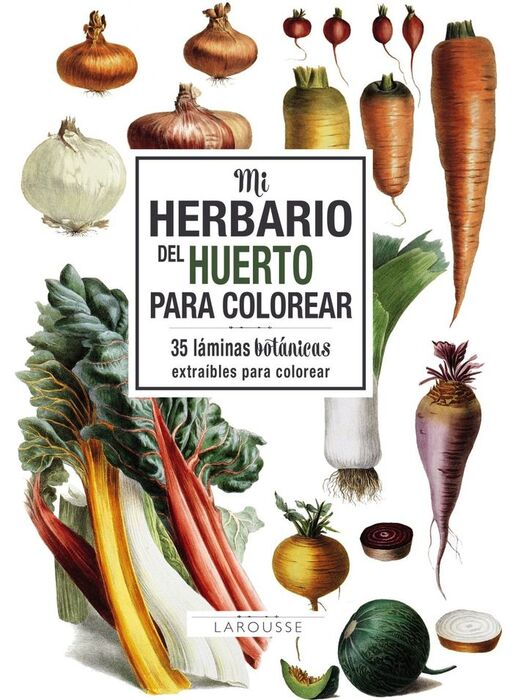 MI HERBARIO DEL HUERTO P