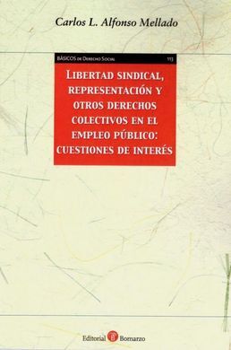 LIBERTAD SINDICAL, REPRESENTACIÓN Y OTROS DERECHOS