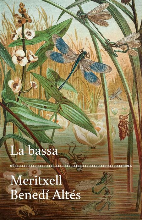 LA BASSA