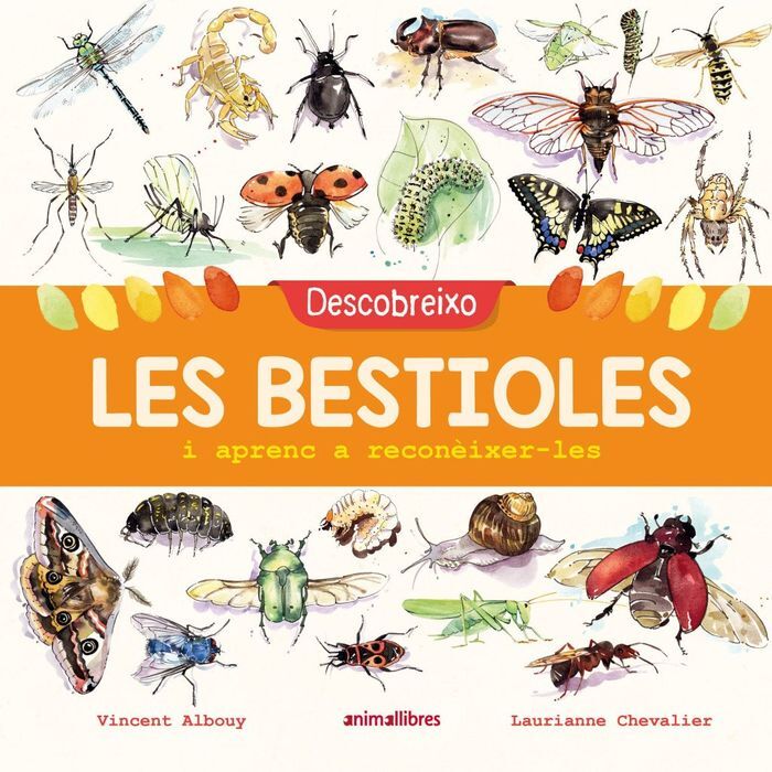 DESCOBREIXO LES BESTIOLES I APRENC A RECONÈIXER-LE