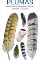 PLUMAS- INTRODUCCION A LAS ESPECIES IBERICAS, BALE