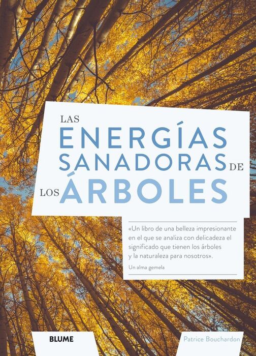 LAS ENERGIAS SANADORAS DEL LOS ÁRBOLES