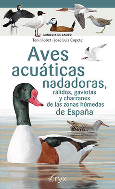 AVES ACUÁTICAS NADADORAS, RÁLIDOS, GAVIOTAS Y CHAR