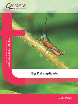 BIG DATA APLICADO