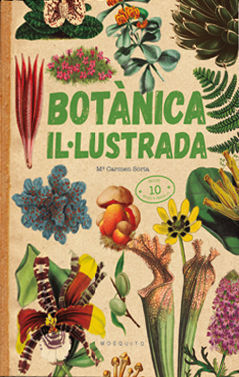 BOTÀNICA IL·LUSTRADA