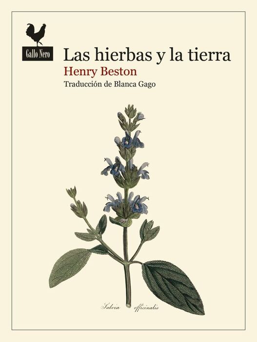 LAS HIERBAS Y LA TIERRA