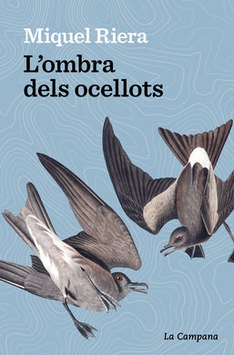 L'OMBRA DELS OCELLOTS