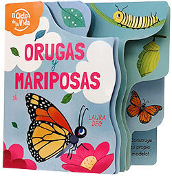 ORUGAS Y MARIPOSAS