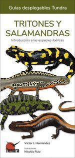 TRITONES Y SALAMANDRAS / GUIAS DESPLEGABLES TUNDRA