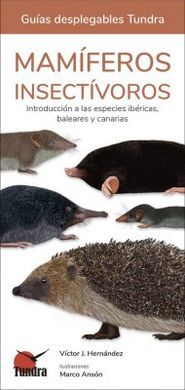 MAMIFEROS INSECTIVOROS / GUIAS DESPLEGABLES TUNDRA