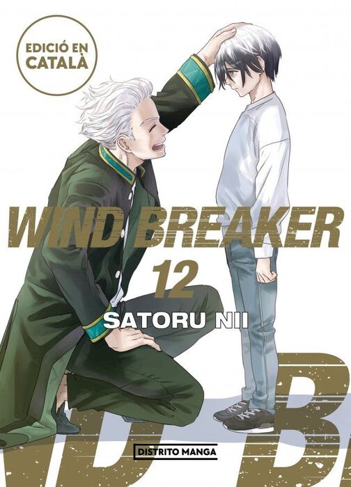 WIND BREAKER (EDICIÓ EN CATALÀ) 12 (SHÔNEN)