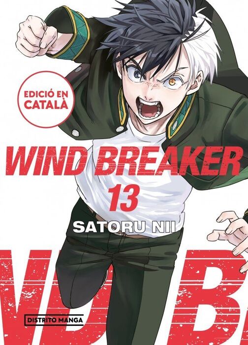 WIND BREAKER (EDICIÓ EN CATALÀ) 13 (SHÔNEN)