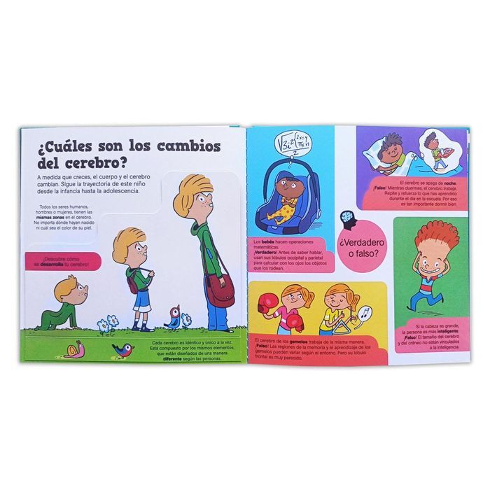 PEQUEÑOS CURIOSOS: CONOCE TU CEREBRO