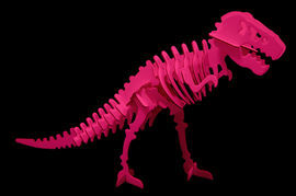 EL MUNDO DEL TIRANOSAURIO