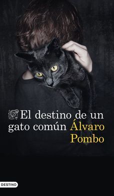 EL DESTINO DE UN GATO COMUN