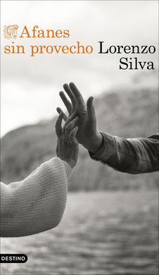 AFANES SIN PROVECHO
