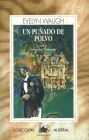 UN PUÃADO DE POLVO