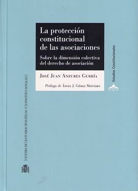 LA PROTECCION CONSTITUCIONAL DE LAS ASOCIACIONES