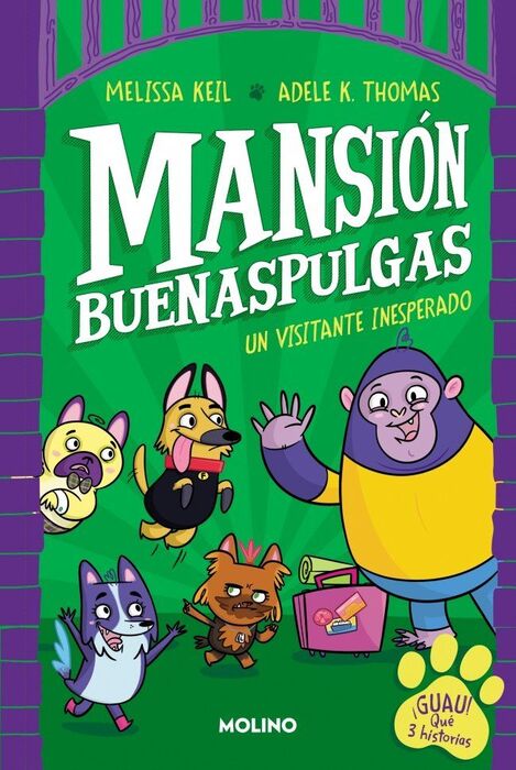 MANSION BUENASPULGAS 1. VISITANTE INESPE