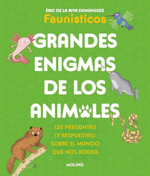 GRANDES ENIGMAS DE LOS ANIMALE