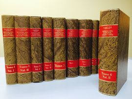DERECHO CIVIL ESPAÑOL, COMÚN Y FORAL