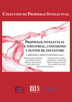 PROPIEDAD INTELECTUAL E INDUSTRIAL, CONEXIONES Y P