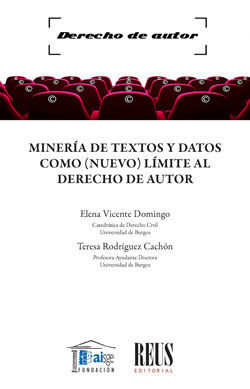 MINERÍA DE TEXTOS Y DATOS COMO (NUEVO) LÍMITE AL D