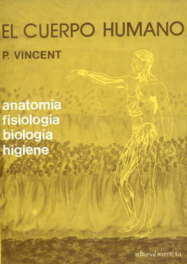 EL CUERPO HUMANO