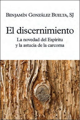 DISCERNIMIENTO, EL - LA NOVEDAD DEL ESPIRITU Y LA