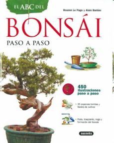 BONSAI PASO A PASO