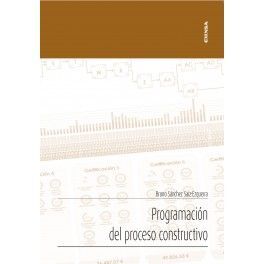 PROGRAMACIÓN DEL PROCESO CONSTRUCTIVO