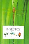 LOS INSECTOS