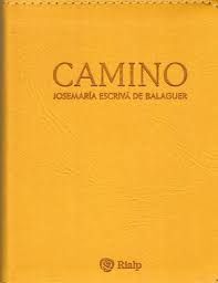 CAMINO (BOLSILLO, PIEL SINTÉTICA)